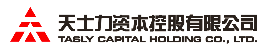 294俄罗斯专享会资本控股有限公司
